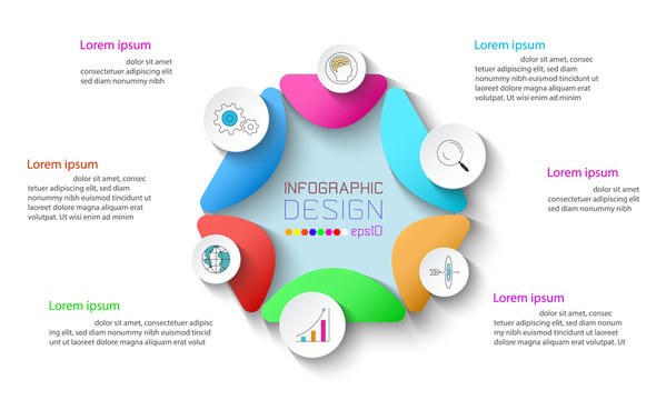 Business infographic with 6 steps.