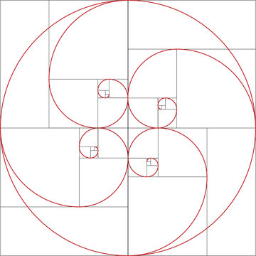 Fibonacci spiral. Golden ratio