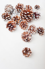 Pinecones isolated on white background