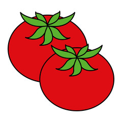 fresh tomatoes isolated icon vector illustration design