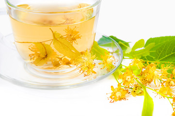 Tea from Linden flowers in glass cup with flower clusters of lim