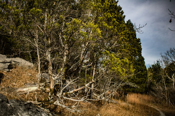 Devil's Racetrack hiking trail on Wade Mountain in Huntsville, Alabama