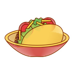 dish with delicious mexican food tacos vector illustration design