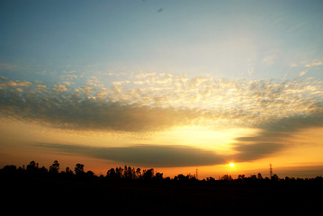 Beautiful Sunlight, Sunrise and tree landscape in the morning.