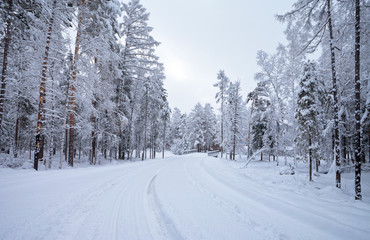 Winter landscape with snow-covered road and white forest after a heavy snowfall on a frosty morning
