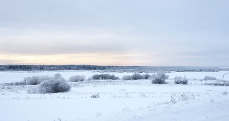 winter snowy landscape