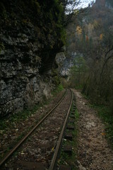 Fototapeta na wymiar Railway in the mountains