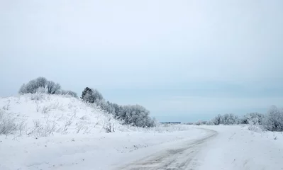 Fotobehang winter snowy landscape © Olga