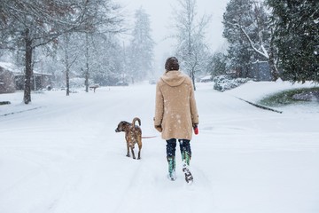 Fototapeta na wymiar Woman walkes her dog down an a empty suburban street blanketed by a suprise snow storm.