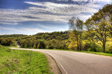 Fototapeta premium Spring Trees