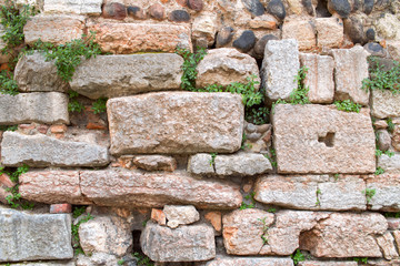 Green leaves on an ancient stone and brick wall a light color in European city. Used texture, abstract, concept, background, wallpaper