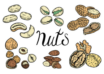 Hand drawn Nuts set