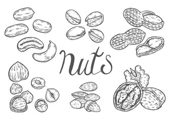 Hand drawn Nuts set