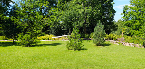 Summer park, green meadow and blue sky.