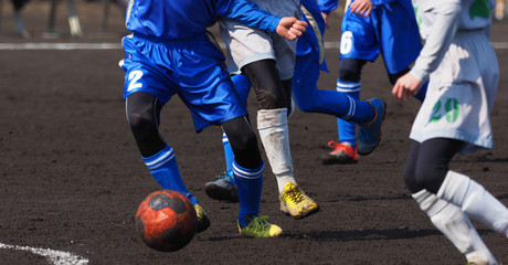 Naklejka premium サッカー フットボール