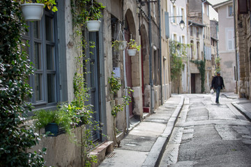 Vieille ruelle ville de Valence Drôme France avec plantes vertes aux murs en pierre avec personne - obrazy, fototapety, plakaty
