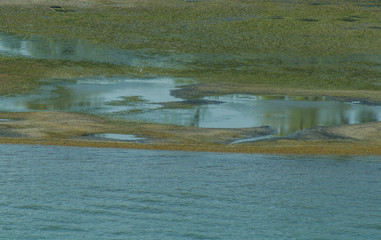 seichtes wasser und sand