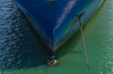spitzer bug von schiff