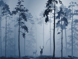 Naklejka premium silhouette of the forest with a family of deer, vector illustration