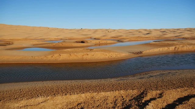 Acqua nel deserto oasi Ain Ouadette nel Sahara