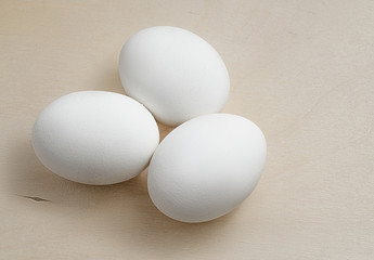 Egg