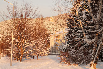 House on the sunset, with snow-covered forest on background.  Th