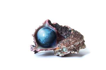 sea shell with the planet instead of pearls