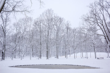 Парк во время снегопада, снежный парк 