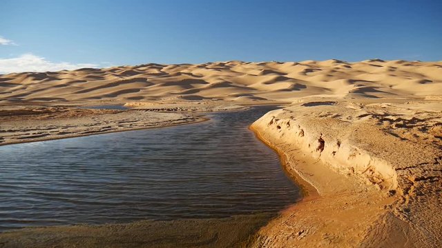Oasi tra le dune di sabbia del deserto Sahara