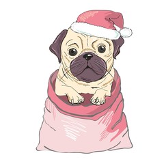 Portrait of cute french bulldog in red christmas hat on blue background. Vector illustration. Santa Claus. New Year's and Christmas.