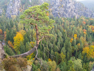Sächsische Schweiz im Herbst