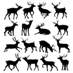 Deer silhouette isolated on white background. Vector illustration.