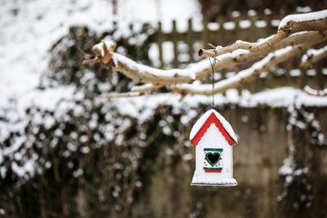 Bird house with seedsin helping feeding in winter time