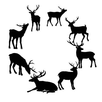 Deer silhouette isolated on white background. Vector illustration.