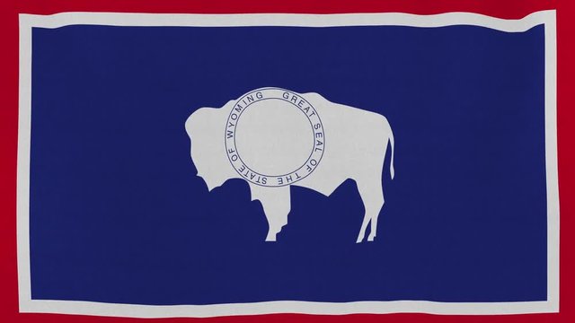Loopable: Wyoming flag...Flag of state Wyoming waving in the wind...Seamless loop...Made from ultra high-definition original with detailed fabric texture.