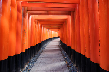 Ancient wood torii gate landmark of Fushimi Inari