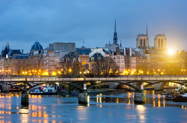 Fototapeta premium Ile de la cite and notre dame de Paris Cathedrale , France