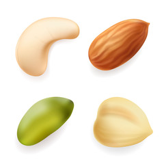 Obraz premium Different nuts set. Hazelnut, pistachio, almond, cashew isolated Realistic