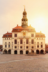 Fototapeta na wymiar Lüneburg town hall