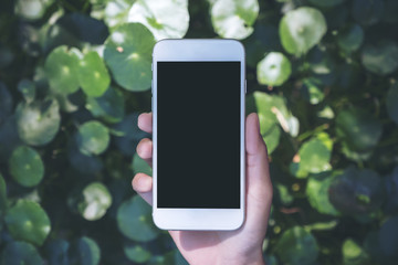 Mockup image of a hand holding white mobile phone with blank black screen , green leave and nature background