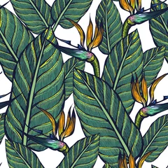 Door stickers Paradise tropical flower Seamless pattern of exotic plants. Strelitzia. Flowers and leaves. Background.