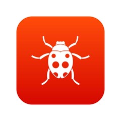 Ladybug icon digital red