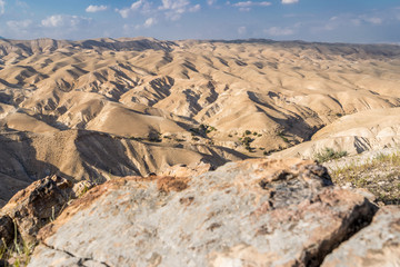 Fototapeta na wymiar Desert from right with stone