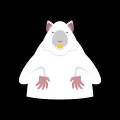 Laboratory mouse is white. Red eyes. Rat for experiments. Experimental rodent. Vector illustration