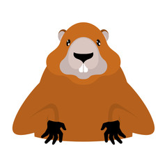 Groundhog Marmot portrait isolated. Wild Rodent head. Illustration for Groundhog Day holiday