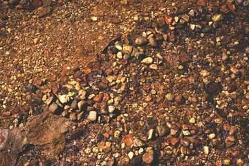 Pebbles in the creek - 185226223
