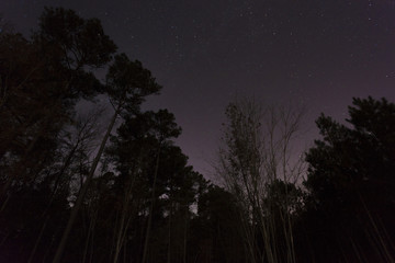 Stars in a North Carolina sky