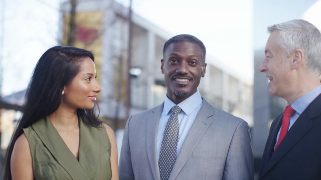 Portrait of diverse successful business professionals