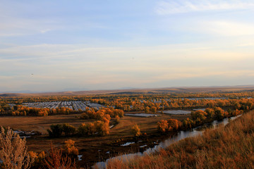 Signs of the times. Large areas of farmland occupied by greenhouses Chinese growers. Village of poplars, Minusinsk district. Krasnoyarsk Krai. Siberia.