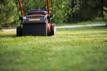 Blurred background of the home garden and lawn mower on mown grass.